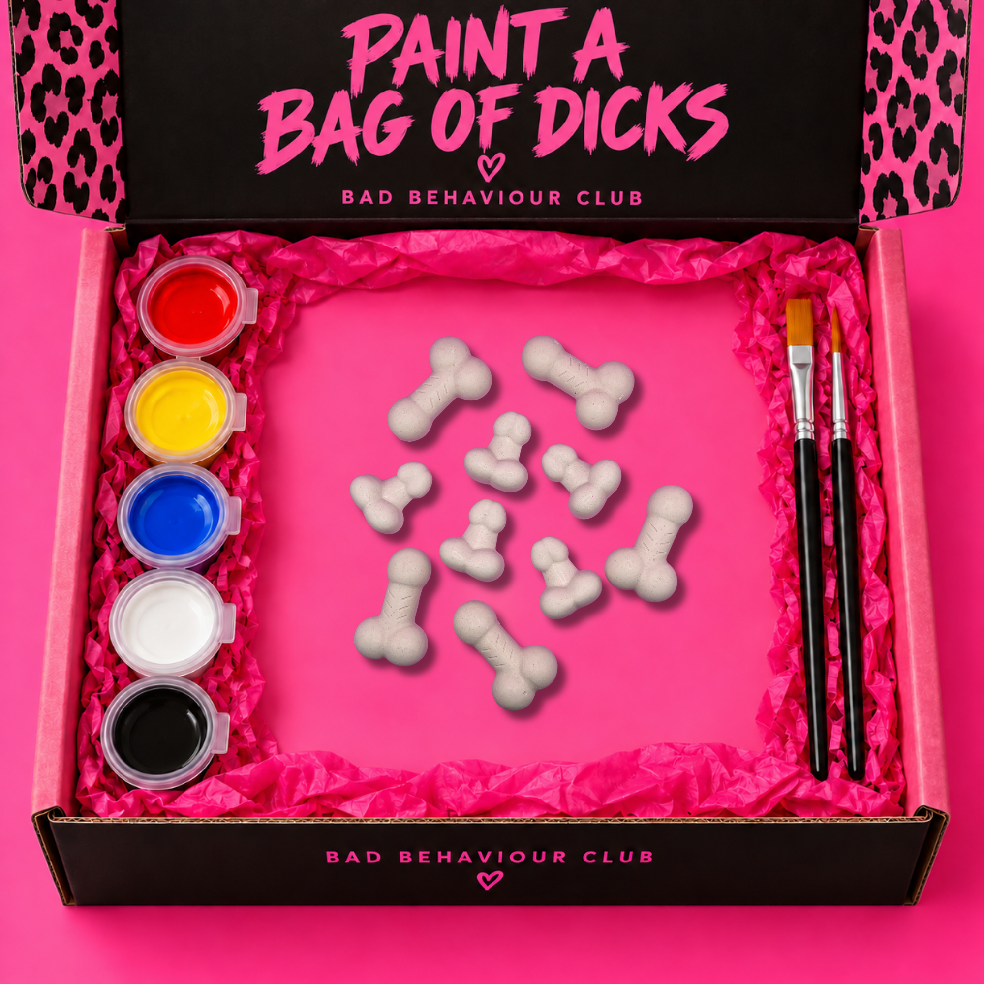 Paint Your Own Naughty Sculpture Kits