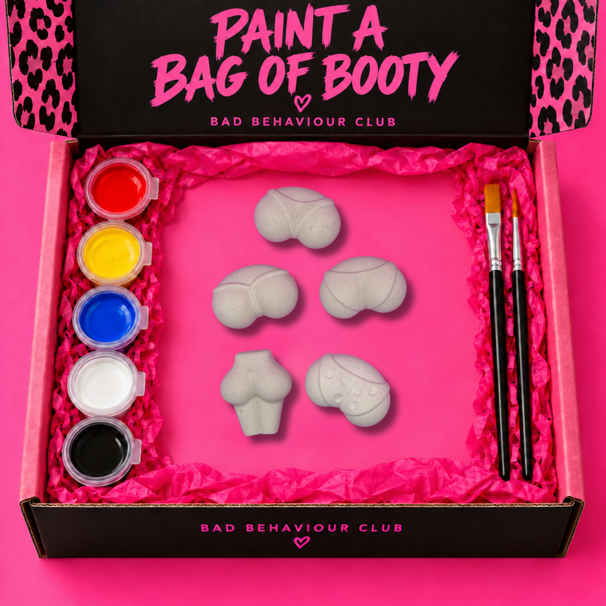 Paint Your Own Naughty Sculpture Kits